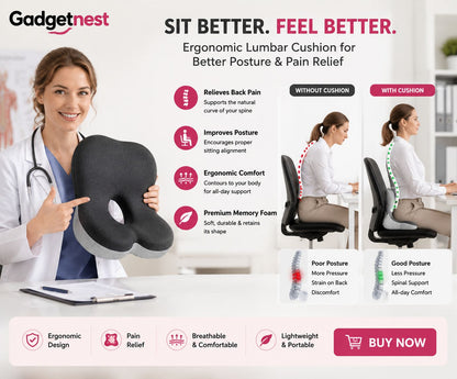 SpineEase Cushion